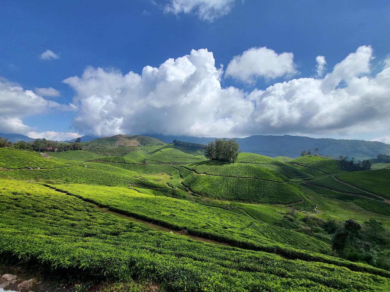 Munnar Meadows Escape
